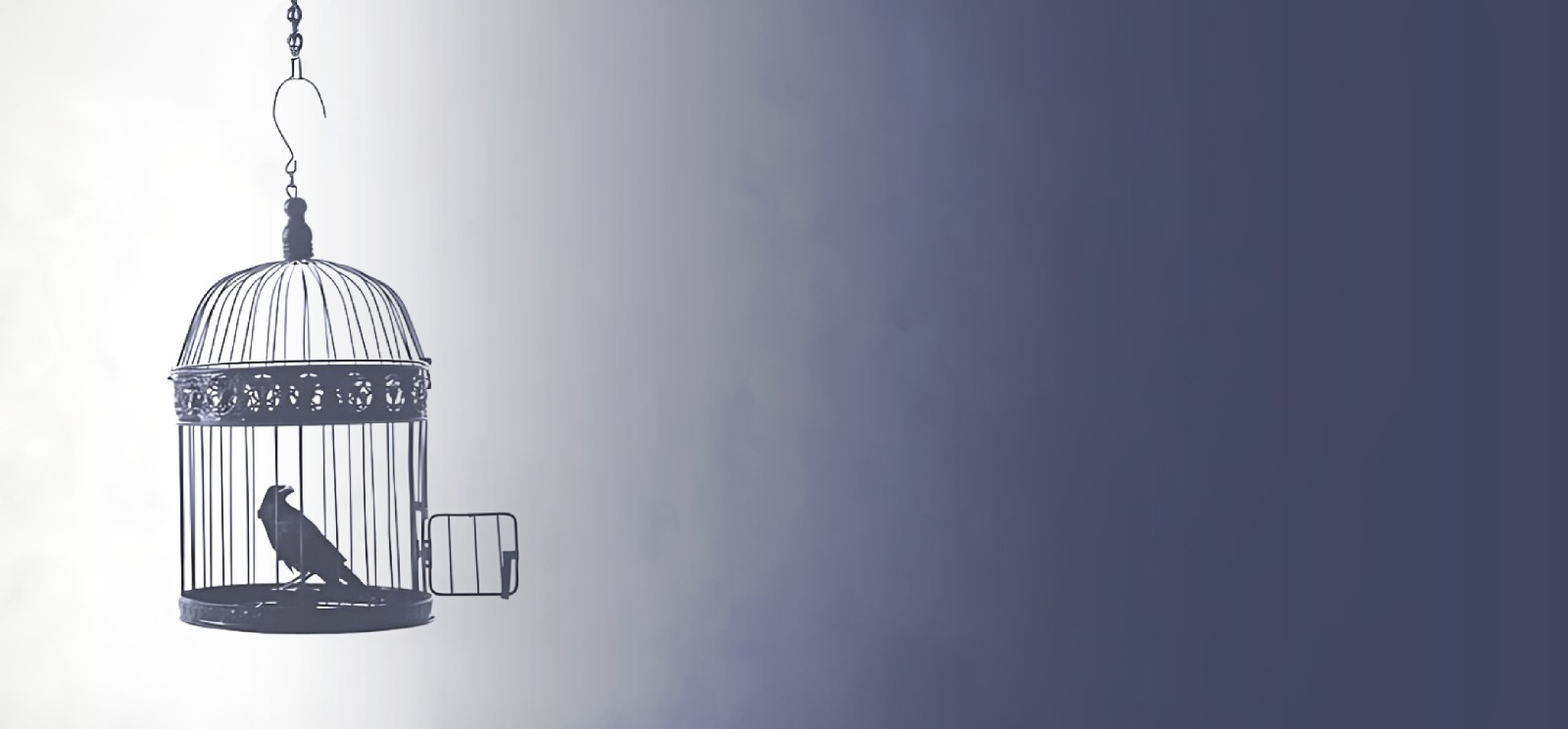 عنوان المقال