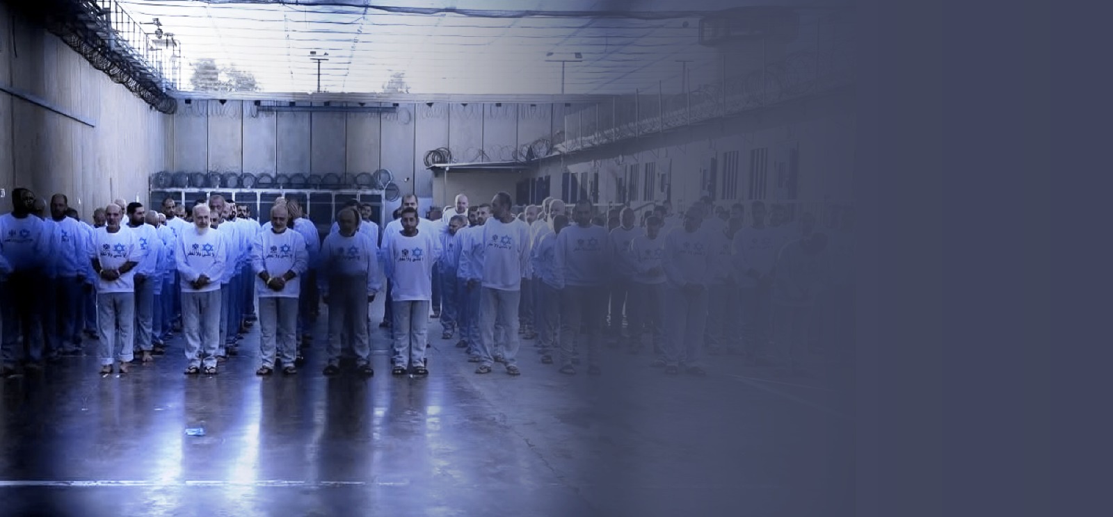 عنوان المقال